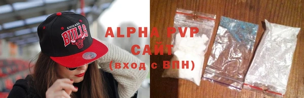 СК Абинск