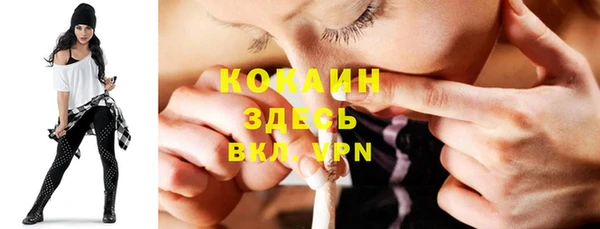 ГАЛЛЮЦИНОГЕННЫЕ ГРИБЫ Абаза