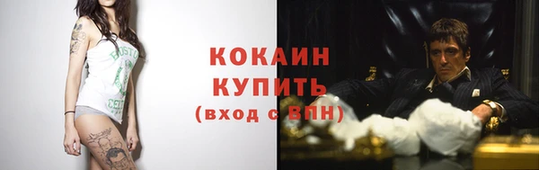 ГАЛЛЮЦИНОГЕННЫЕ ГРИБЫ Абаза
