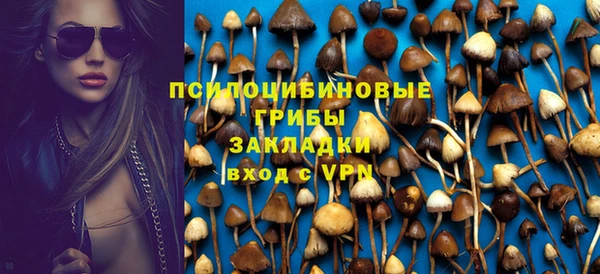 тгк Алексин