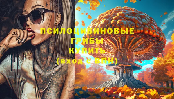 СК Абинск