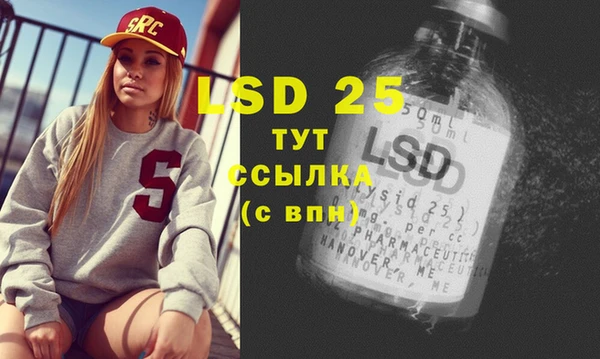 ГАЛЛЮЦИНОГЕННЫЕ ГРИБЫ Абаза