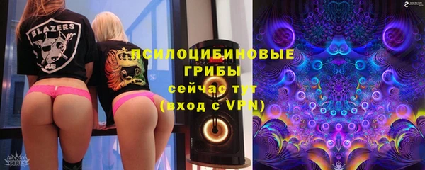 ГАЛЛЮЦИНОГЕННЫЕ ГРИБЫ Абаза