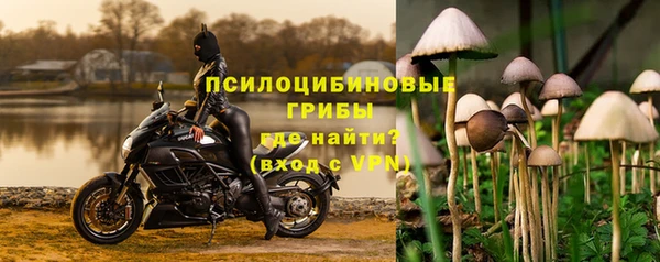 СК Абинск