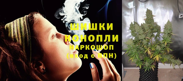 ГАЛЛЮЦИНОГЕННЫЕ ГРИБЫ Абаза