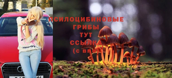 СК Абинск