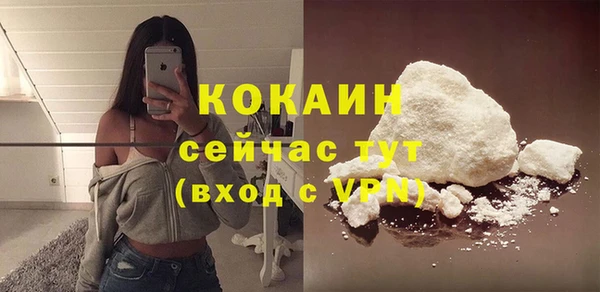 тгк Алексин