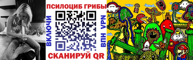 где продают   Ялта  Псилоцибиновые грибы Psilocybe 